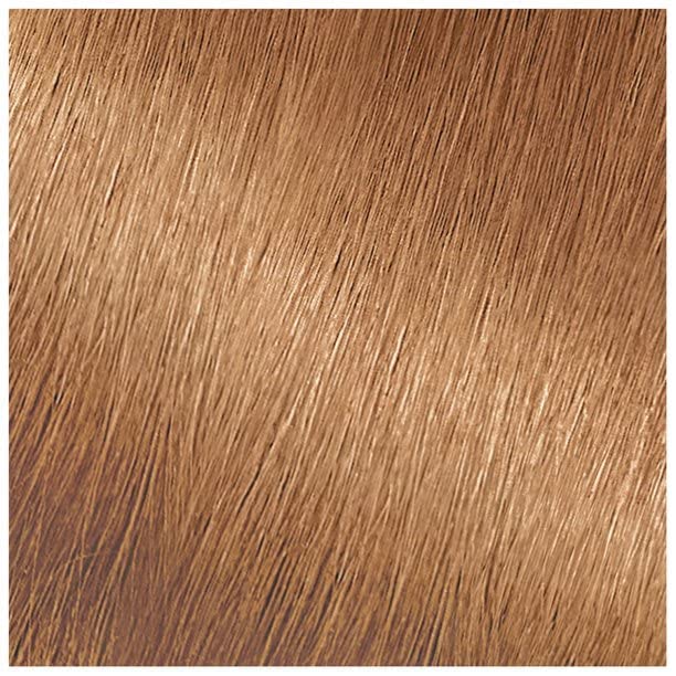Garnier Nutrisse Haircolor, 73 Dark Golden Blonde 1 ea (Pack of 2)