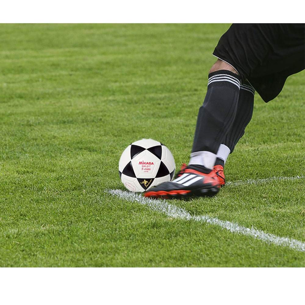 Mikasa D93 Indoor Series Soccer Ball