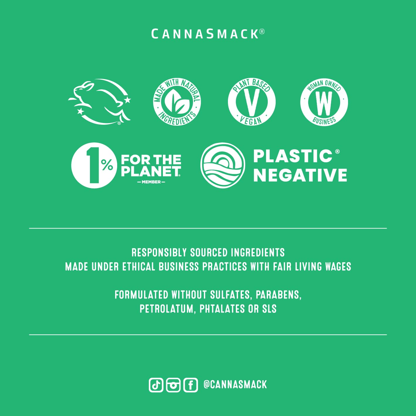 CannaSmack Vegan Hemp Lip Balm - 5 Flavors Included - Soothe, Moisturize, Hydrate, Protect, & Nourish Dry Chapped or Irritated Lips - Made with Hemp