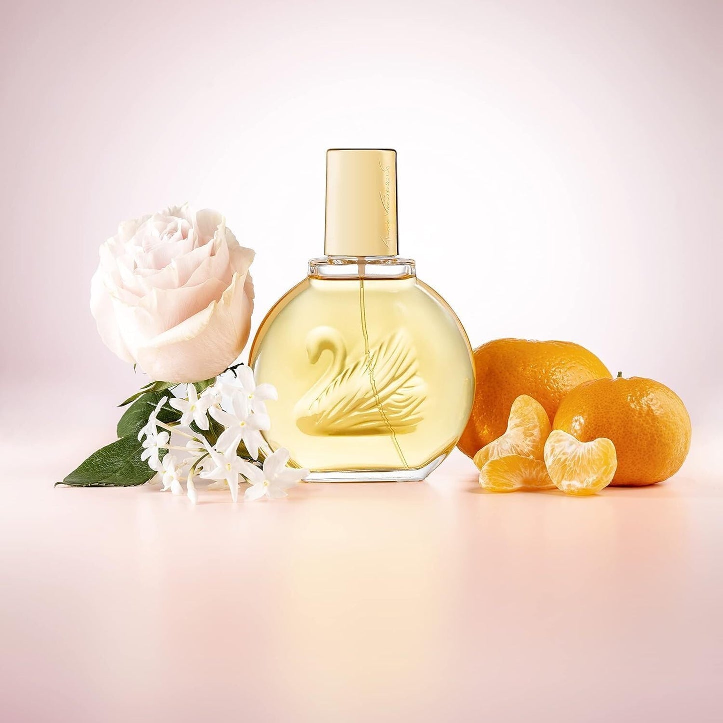 Women's Perfume Vanderbilt Vanderbilt EDT