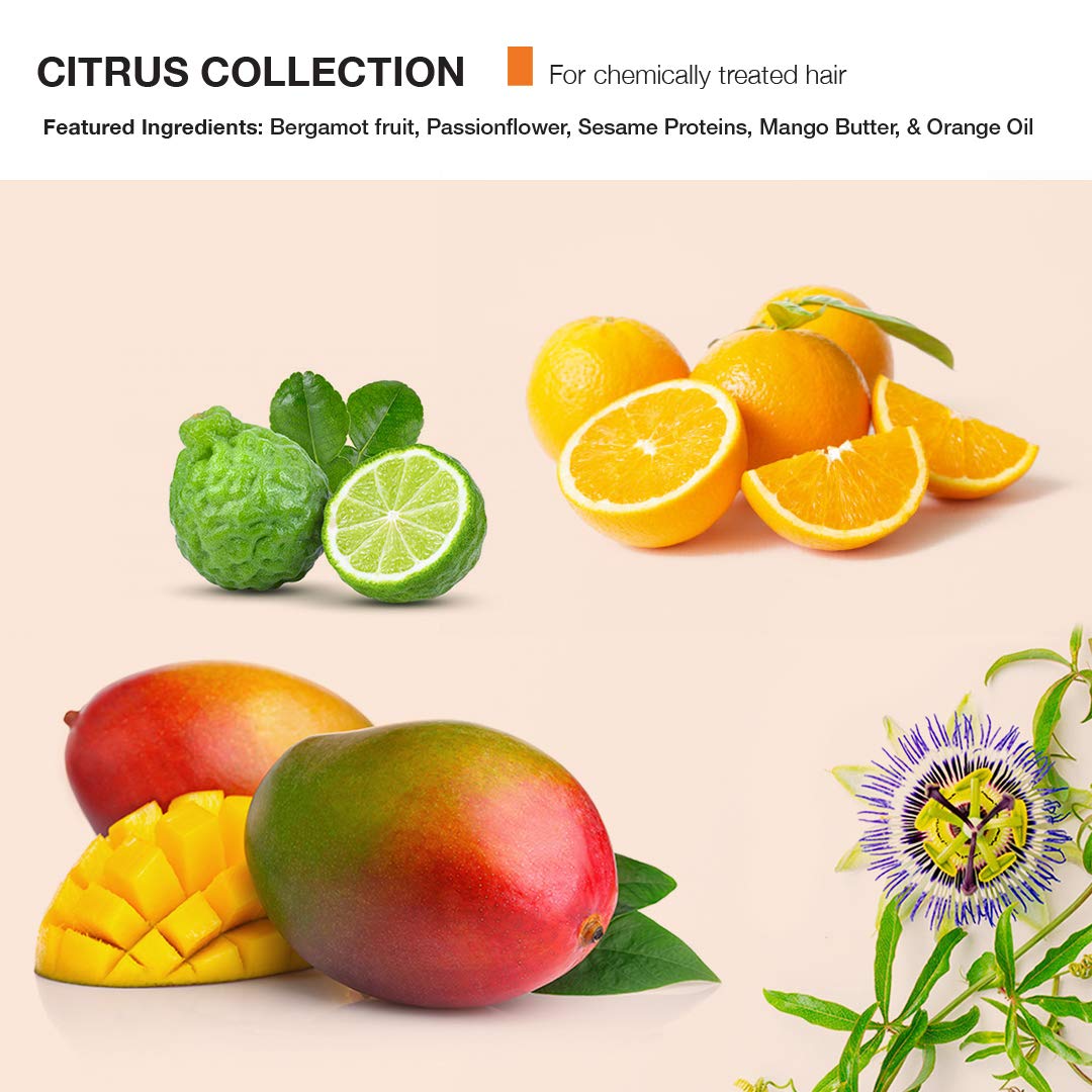 MOP C-System Hydrating Conditioner, Citrus, 8.45 Fl Oz