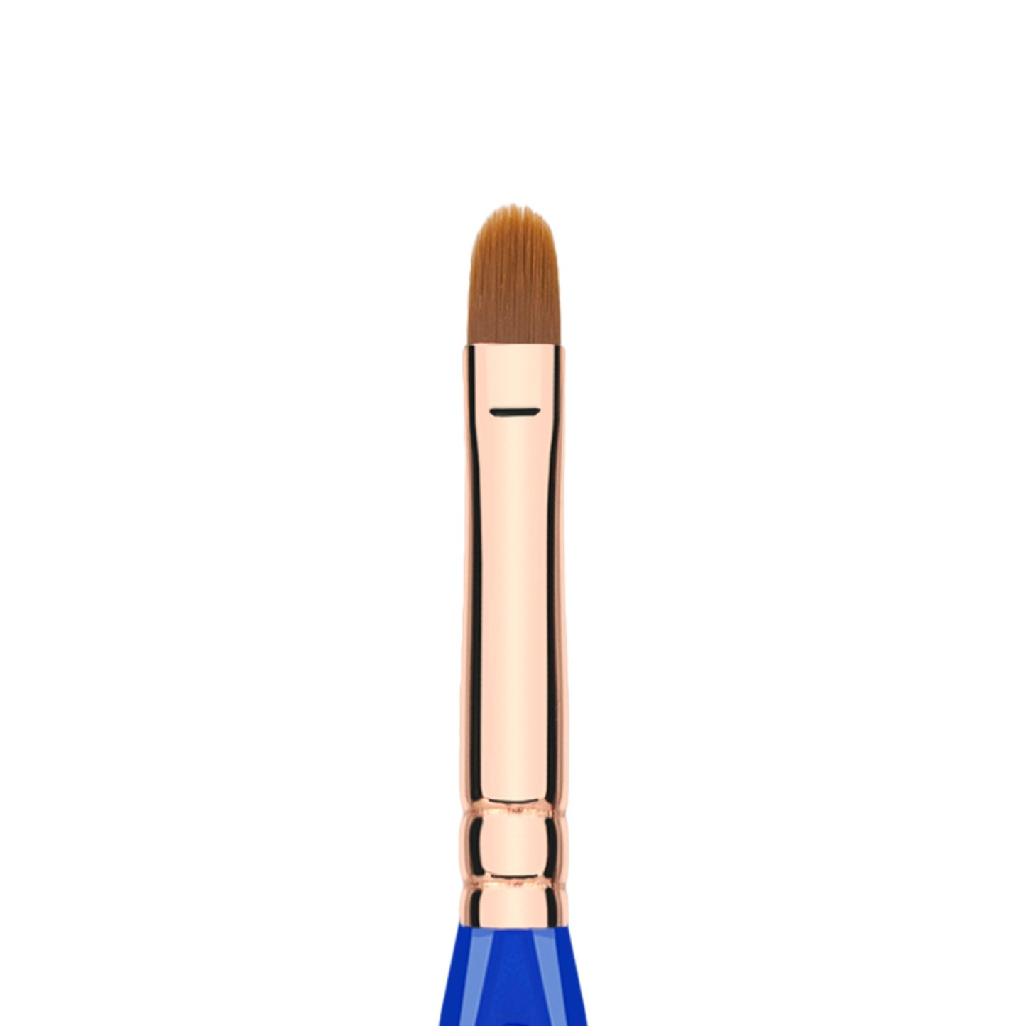Bdellium Tools Professional Makeup Brush - Golden Triangle 542 Bold Lip - With All Vegan and Soft Synthetic Fibers, For Defining Contours of the Lips