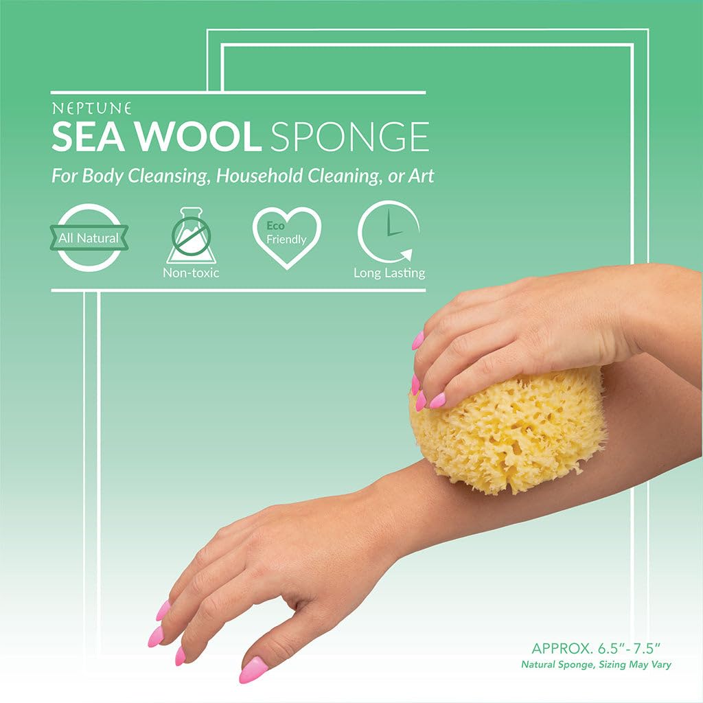 Sea Wool Sponge - All Natural Honeycomb Renewable Sea Sponge, Hand Cut, Jumbo, Approx. 7 Inches
