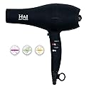 StyleScent Blow Dryer