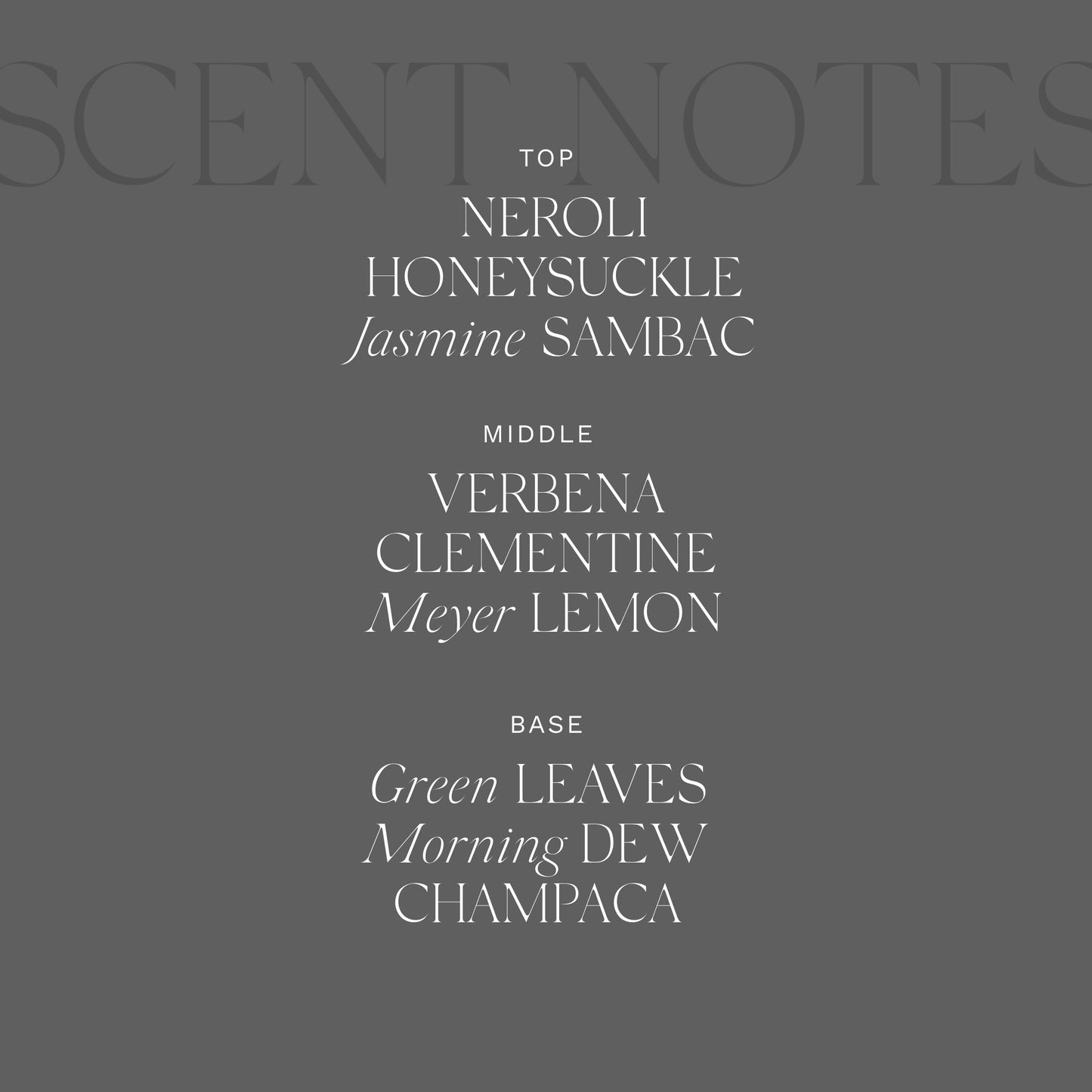 Antica Farmacista Perfume - Elegant Eau de Parfum - Long-Lasting Fragrance - Personal Care Gift for Holidays, Birthdays & Anniversaries - Sun Kissed