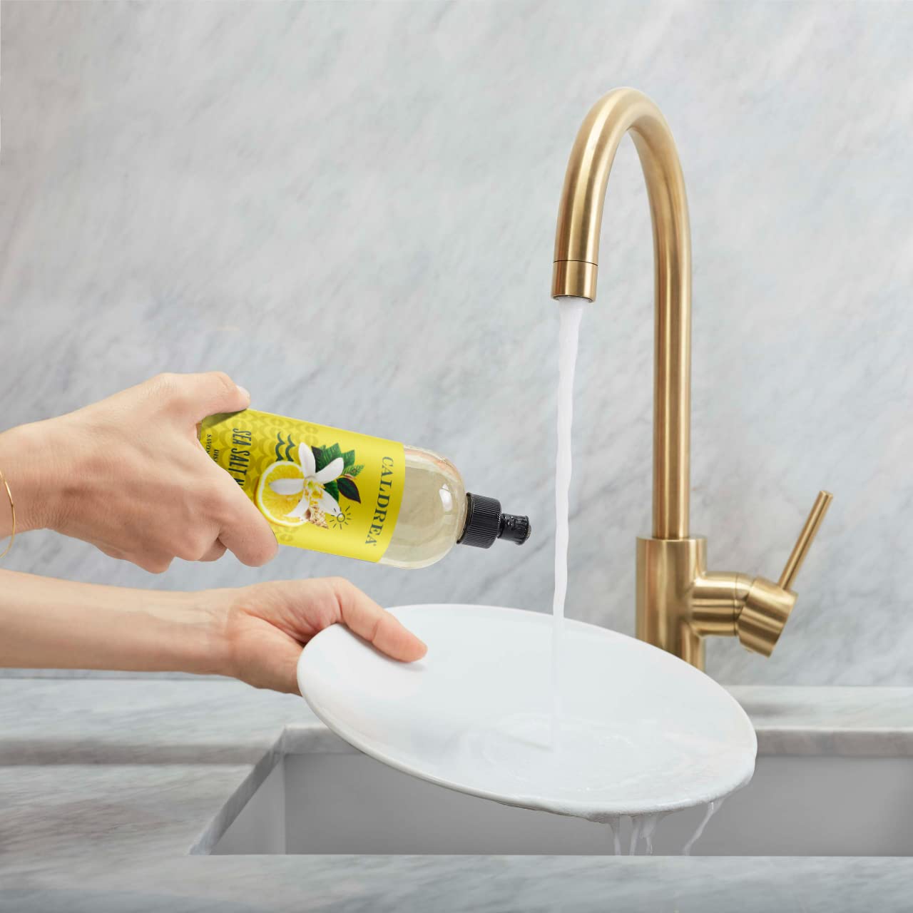 Caldrea Dish Soap, Biodegradable Dishwashing Liquid made with Soap Bark and Aloe Vera, Sea Salt Neroli, 16 oz