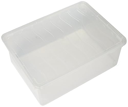 Plastic Shoe Storage Container, Clear 6 Quart Shoe Box with Lid, Stackable Shoebox Storage Bin, Small Plastic Storage Tote for Shoes, Closet Organizer