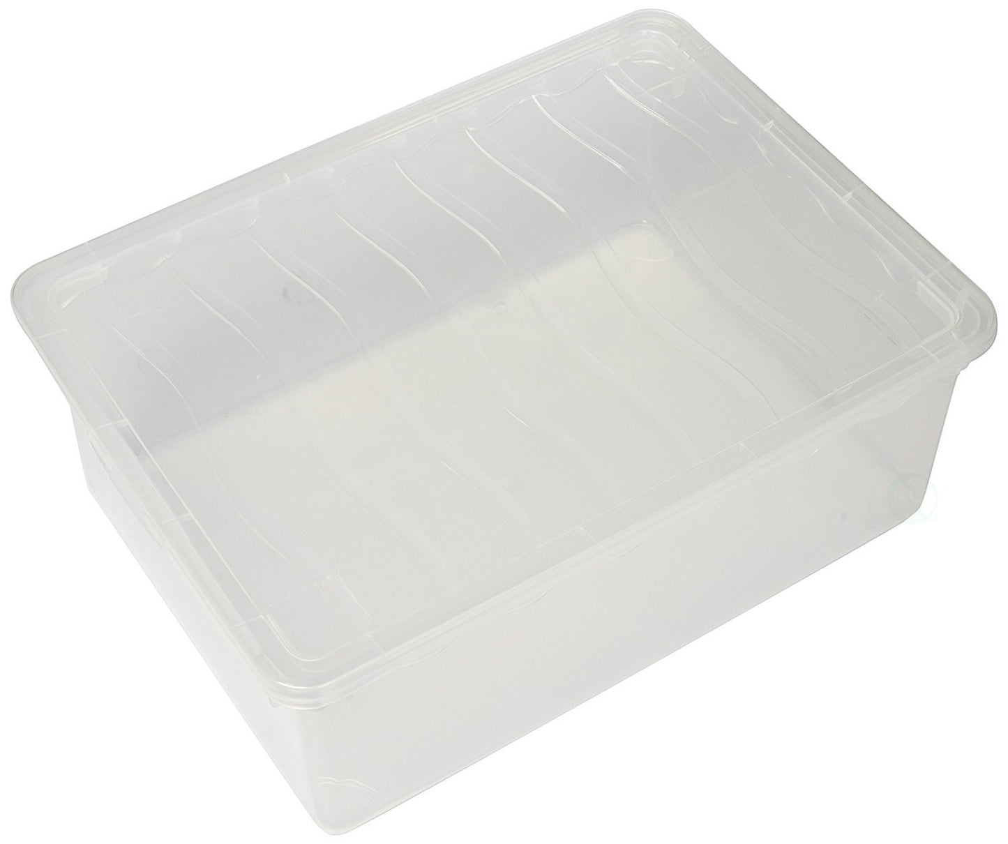 Plastic Shoe Storage Container, Clear 6 Quart Shoe Box with Lid, Stackable Shoebox Storage Bin, Small Plastic Storage Tote for Shoes, Closet Organizer