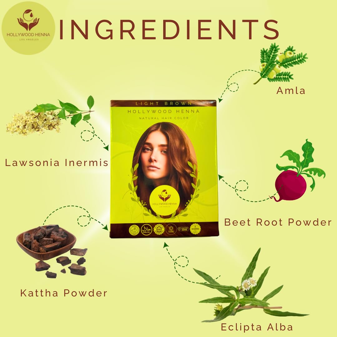 Hollywood Henna Hair Color Kit (Light Brown) Organic Color Hair Beard Dye (Pack of 1-100g) Henna Based Hair Colors with Pure Herbs Free Chemicals Long