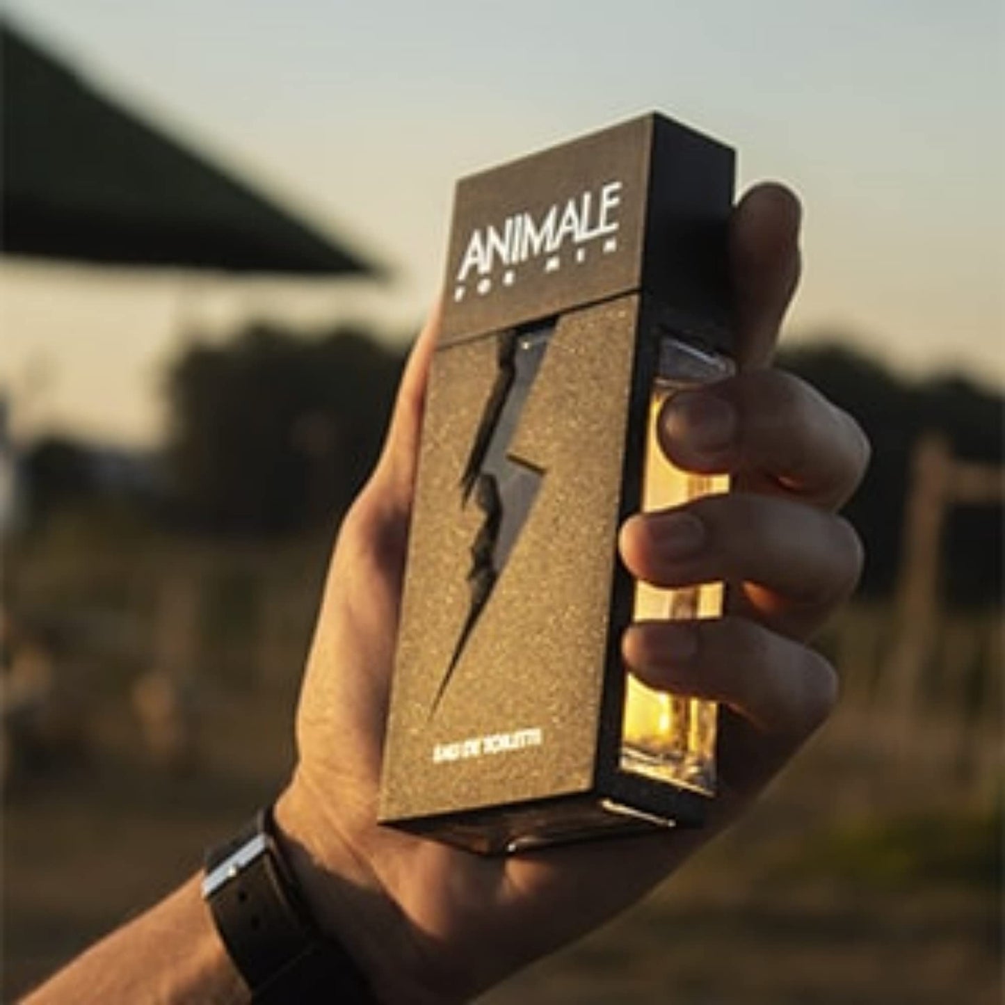 Animale By Animale Parfums For Men. Eau De Toilette Spray 3.4 Ounces