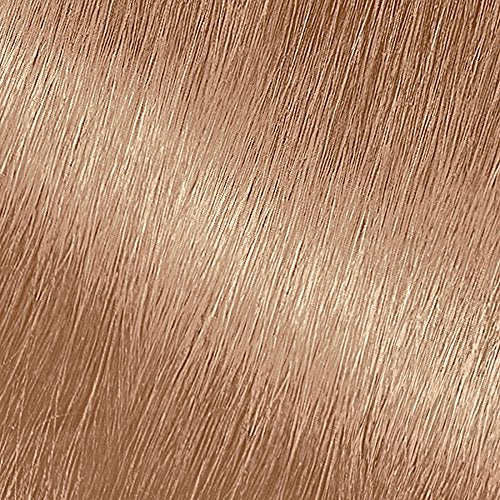 Garnier Nutrisse Haircolor - 82 Champagne Blonde 1 Each