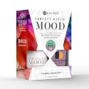 LeChat Perfect Match Mood Duo Set - Island Wonder Beauty & Personal Care LECHAT