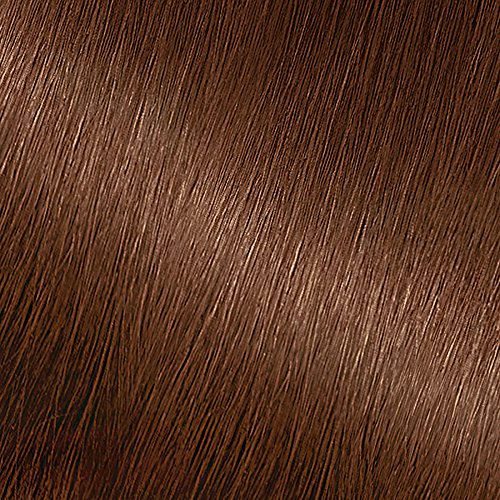 Garnier Nutrisse Nourishing Color Creme 53 Medium Golden Brown (Chestnut)