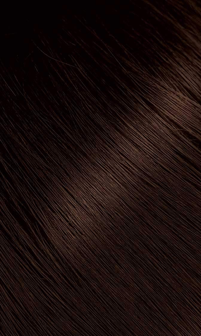 Bigen Powder Hair Color #46 Light Chestnut 0.21oz (3 Pack)