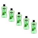 Hawaiian Tropic Lime Coolada After Sun Moisturizer 16 oz (Pack of 5)