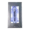 Platinum Eau de Parfum by Bath and Body Works - 3.4 oz/100ml