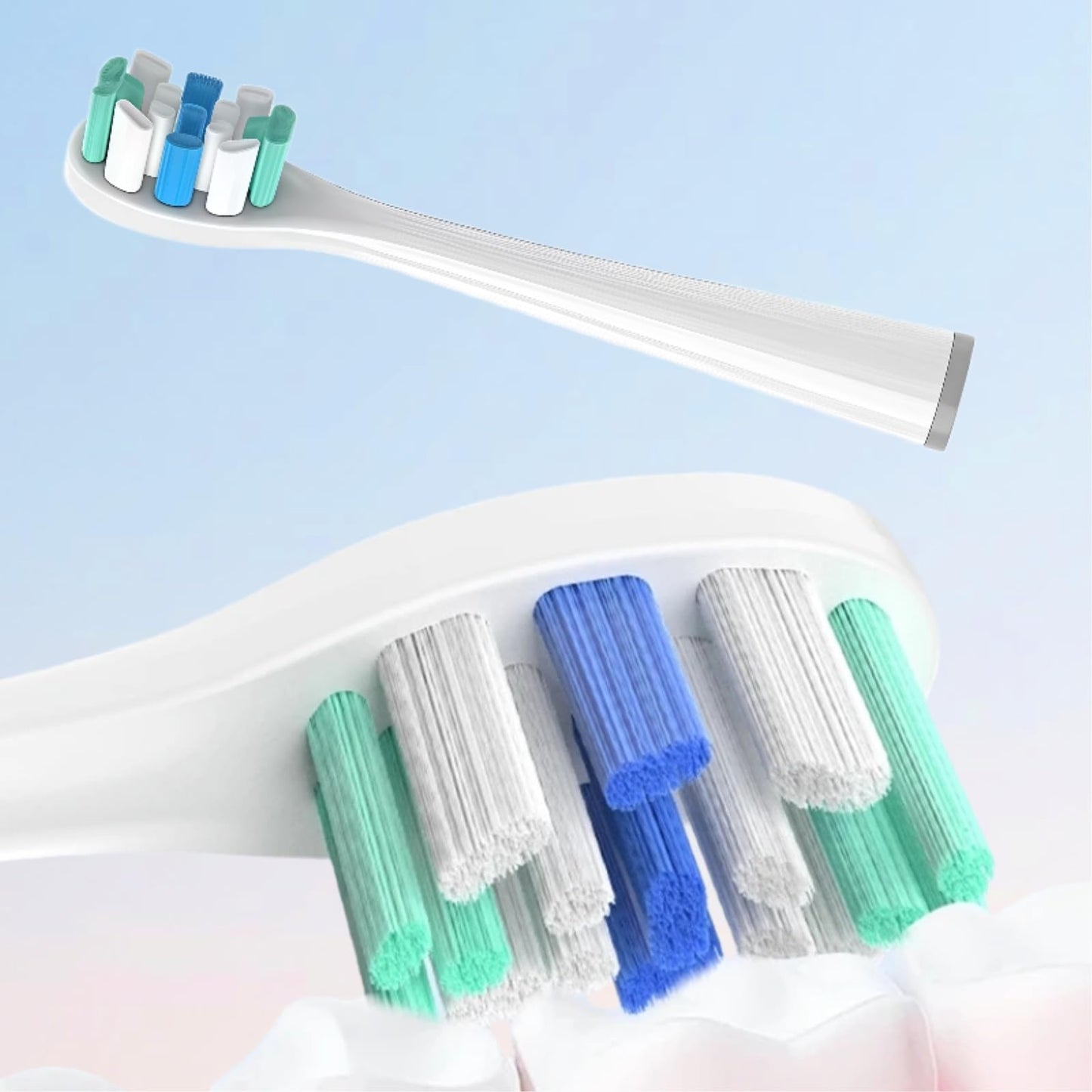 Replacement Toothbrush Head. Compatible for Usmile P1 P10 P20 P20PRO U1 U2 U3 P4 Electric Toothbrush(4 White Clean Models) Beauty and Personal Care Orfdcnhlkc