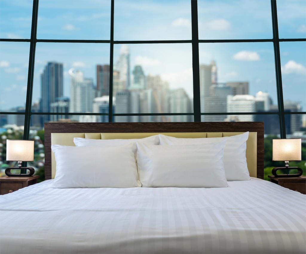 TREND BEDDING MART TBM 3 PC Striped Bedsheet - 1 Flat/Top Sheet with 2 Pillowcases Smooth Touch Hotel Quality 100% Egyptian Cotton 800 Thread Count