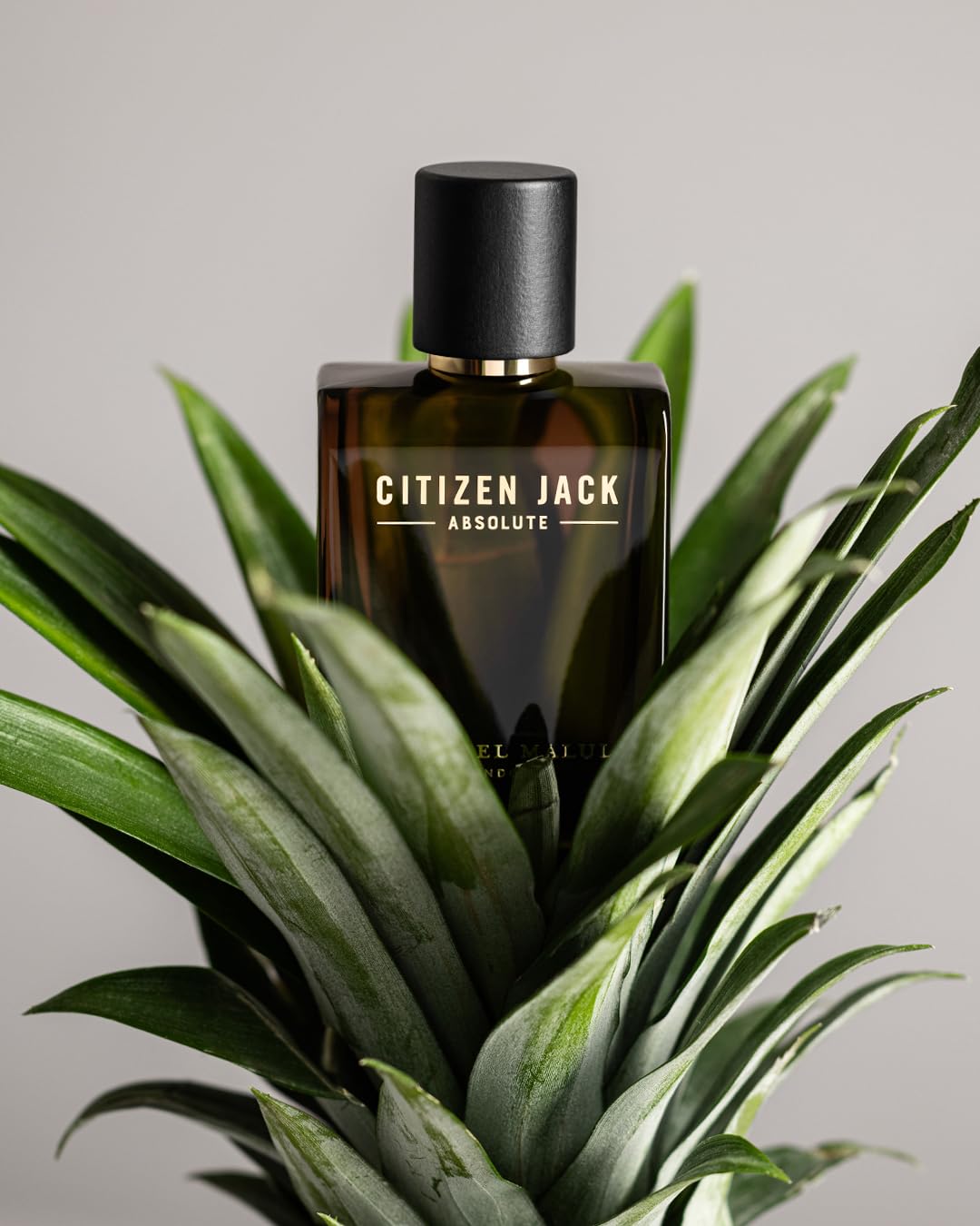 Michael Malul Citizen Jack Absolute Eau de Parfum for Men (0.34 Fl Oz (Pack of 1))