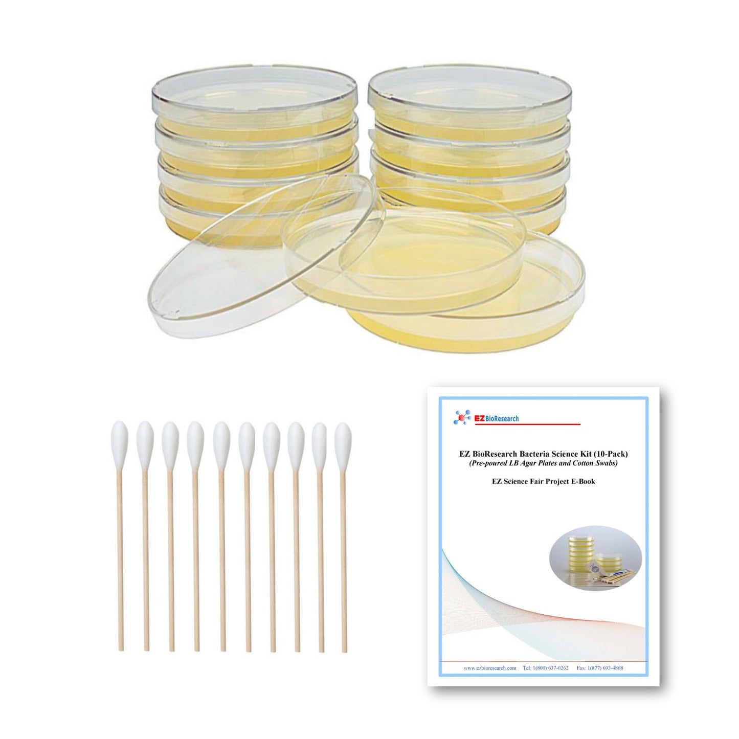 EZ BioResearch Bacteria Science Kit IV – Top Science Fair Project Kit with Pre-poured LB-Agar Plates, Cotton Swabs & Free E-Book with Experiments