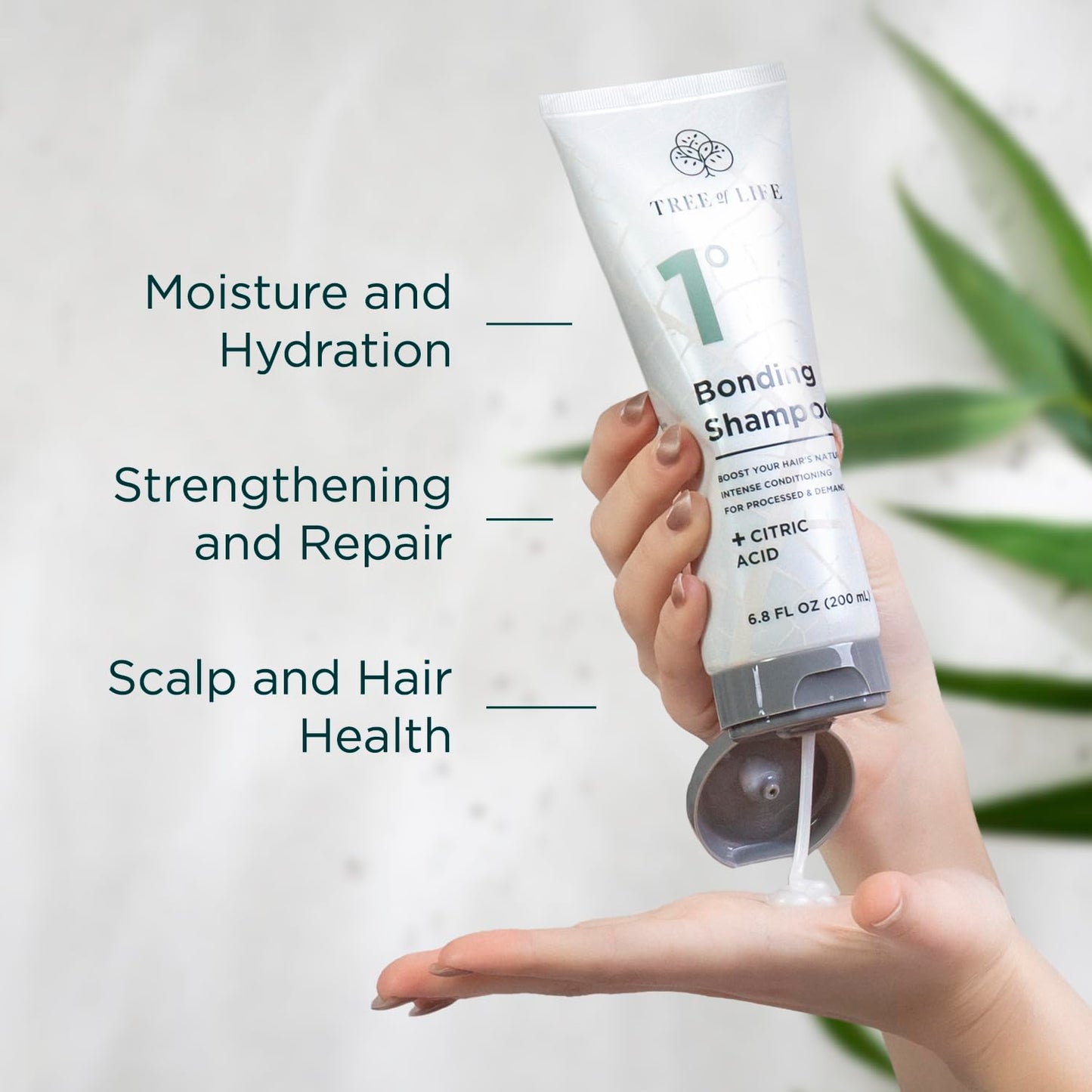 Tree of Life Beauty Bonding Shampoo and Conditioner Set - Hydrating, Strengthening Bond Repair Shampoo and Conditioner with Coconut Oil, Biotin