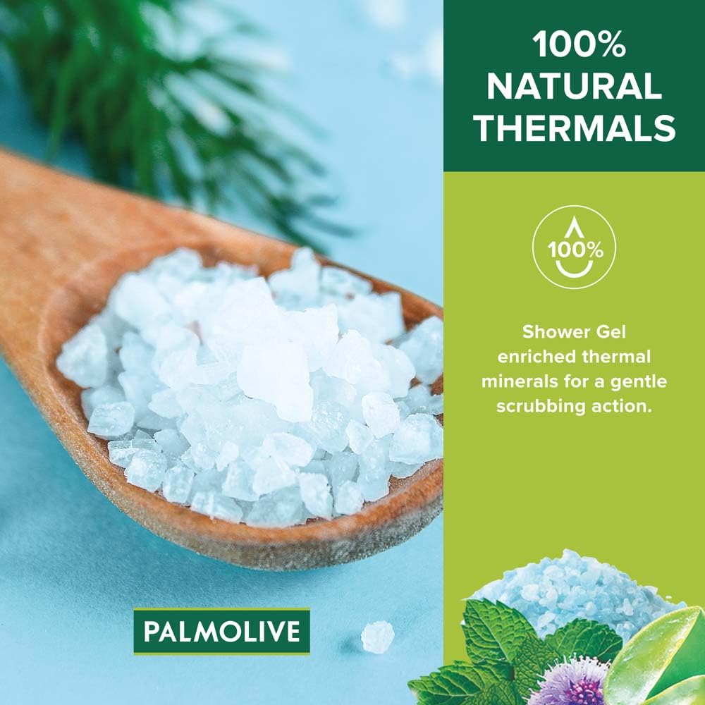 Palmolive Thermal Spa Mineral Massage Shower Gel (250ml)