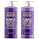 Natural Riches Purple Shampoo and Conditioner Set for Blonde, Silver & Grey Hair - Sulfate-Free, Color-Safe, Removes Brassy & Yellow Tones