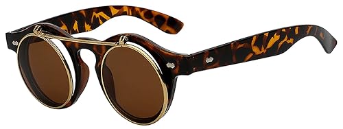Classic Vintage Circle Flip Up Sunglasses Leopard Gold Frame Retro