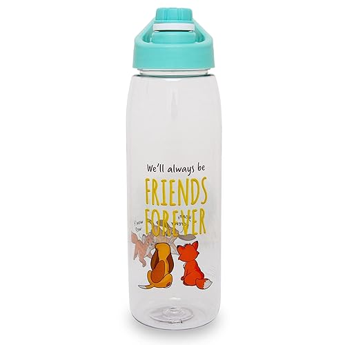 Toynk Disney Fox and the Hound Friends Forever 28-Ounce Water Bottle With Lid | BPA-Free Plastic Sports Jug With Leakproof Screw-Top Lid | Hydration