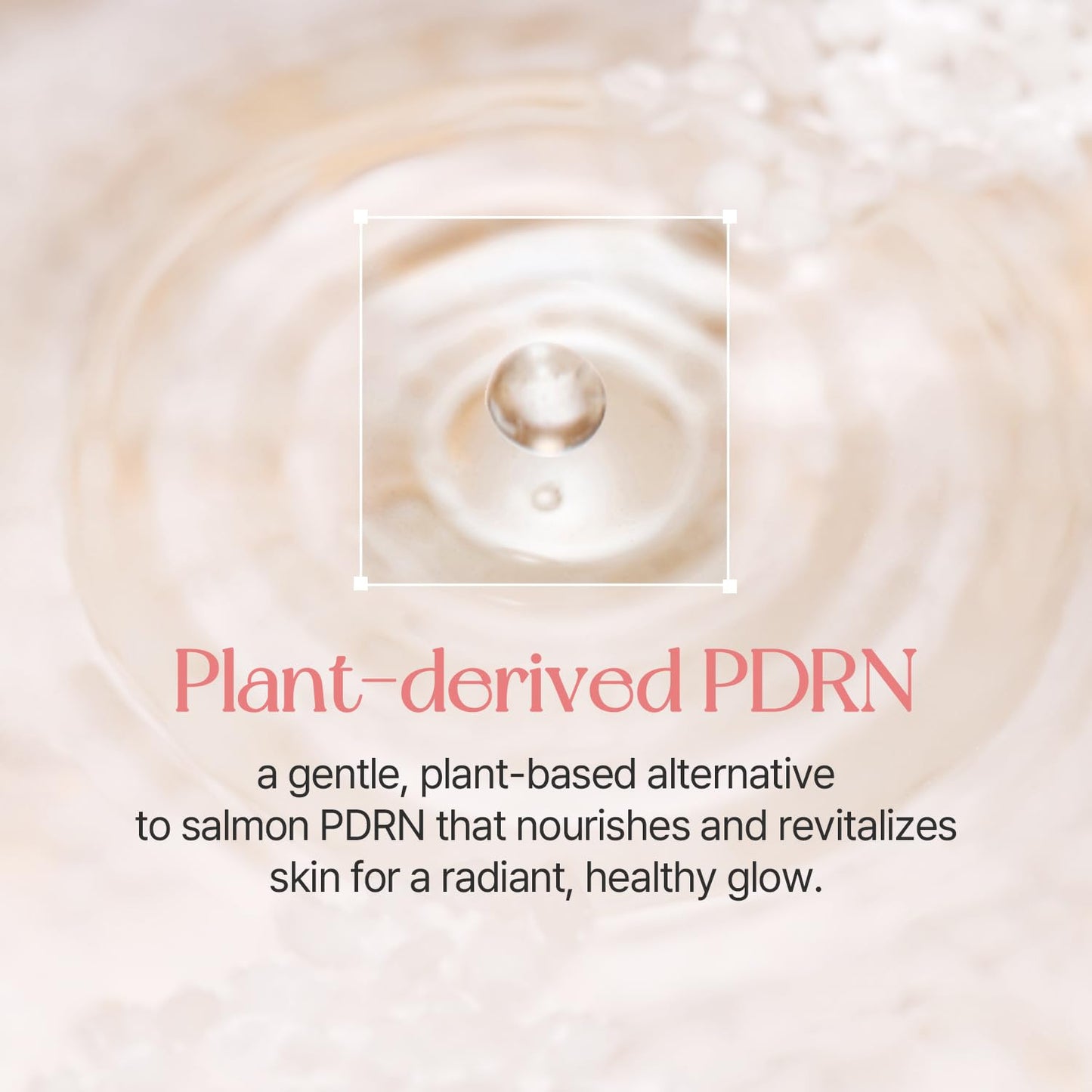 mixsoon PDRN Collagen Tinted Moisturizer - Skincare-Infused Base with Rice PDRN & Peptides, 24H Vibrant Glow & Luminous Hydration, 10 Shades 50ml Beauty and Personal Care mixsoon