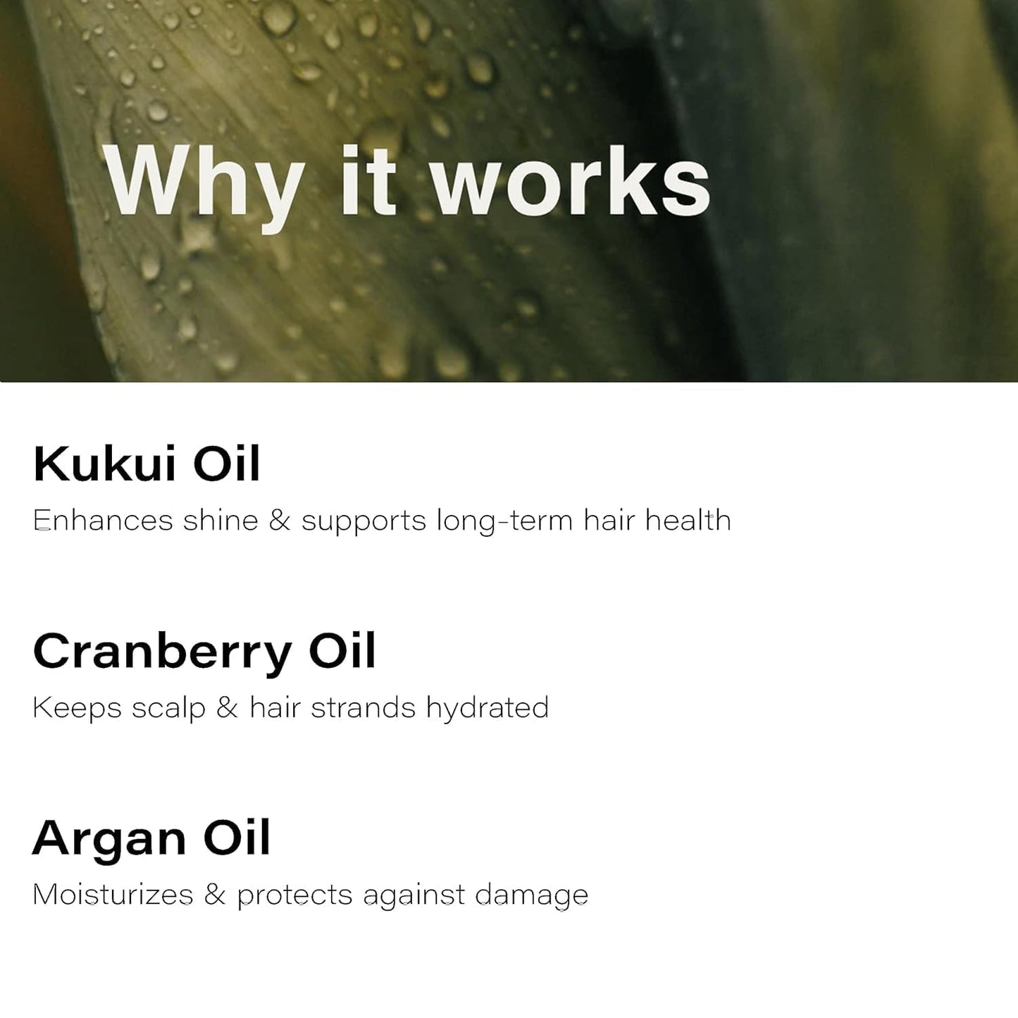 Eufora Beautifying Serum Nourishing Treatment Oil 16.9 Fl.Oz