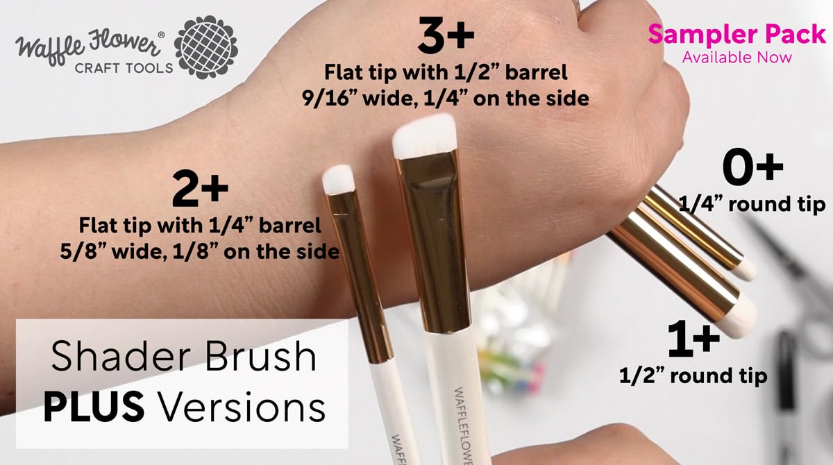 Waffle Flower Shader Brush 2+ (15/pk)