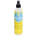 CURLS Aloe & Blueberry Juice Curl Moisturizer (8oz) Curl Refresher Spray for Curly Hair with Organic Blueberries Extract and Aloe Leaf Juice to Revive