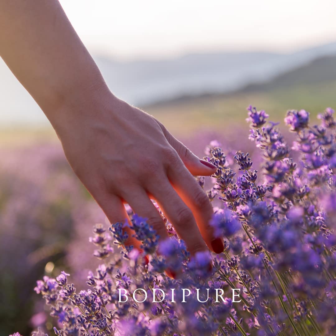 BODIPURE Lavender Aromatherapy Massage Oil for Body - Perfect for Professional Massage Therapy - Rich in Vitamins and Minerals - Skin Hydrating
