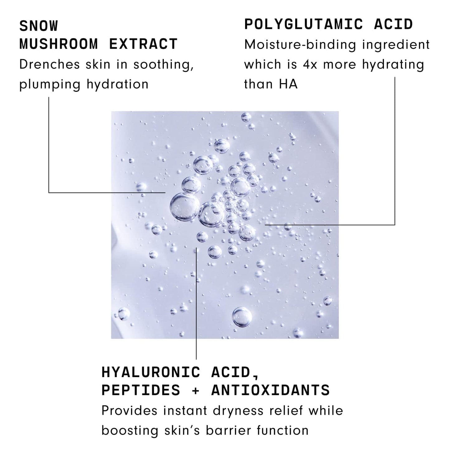 Versed Moisture Maker Hydrating Hyaluronic Serum - Lightweight Face Serum for Dry Skin With Moisturizing Polyglutamic Acid + Snow Mushroom Extract