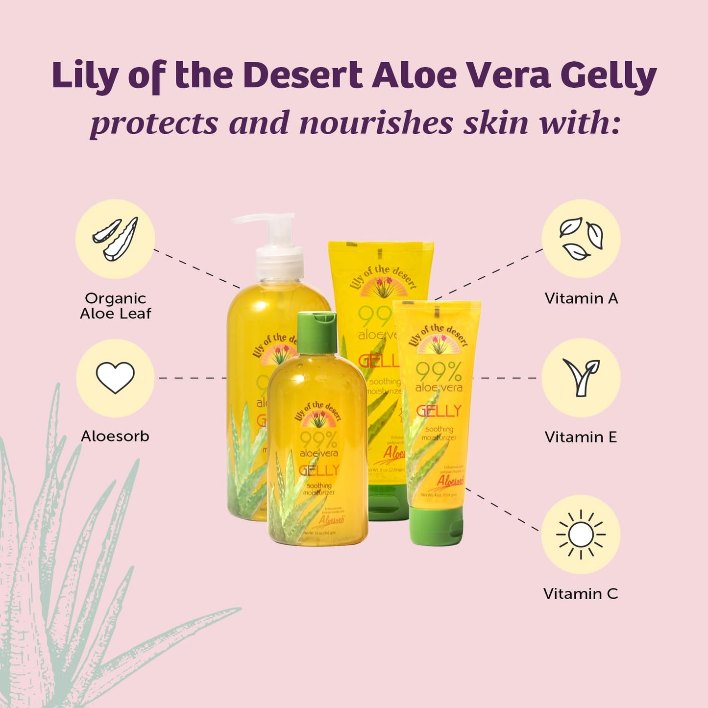 Lily Of The Desert Gelly Moisturizer - 99% Organic Aloe Vera Gel for Skin, After Sun Care with Aloe, Vitamin E Oil, and Vitamin C for Sunburn Relief