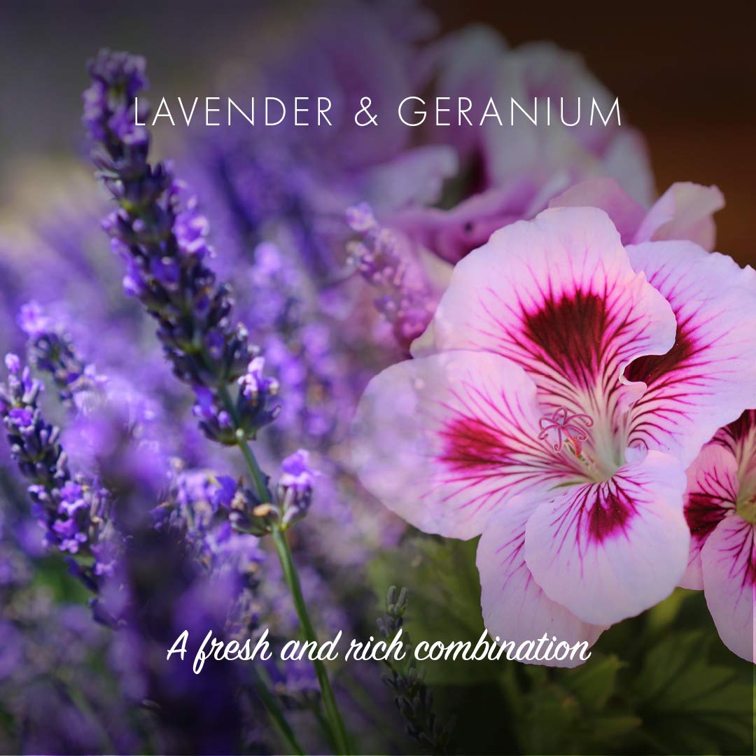 FRIENDLY SOAP Lavender Geranium Natural Shampoo Bar, 95 GR