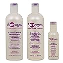 APHOGEE Serious Care & Protection Hair Care Kit