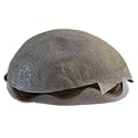 Super Thin Skin Toupee for Men Black Brown Human Hair Unit (3#-ash brown)