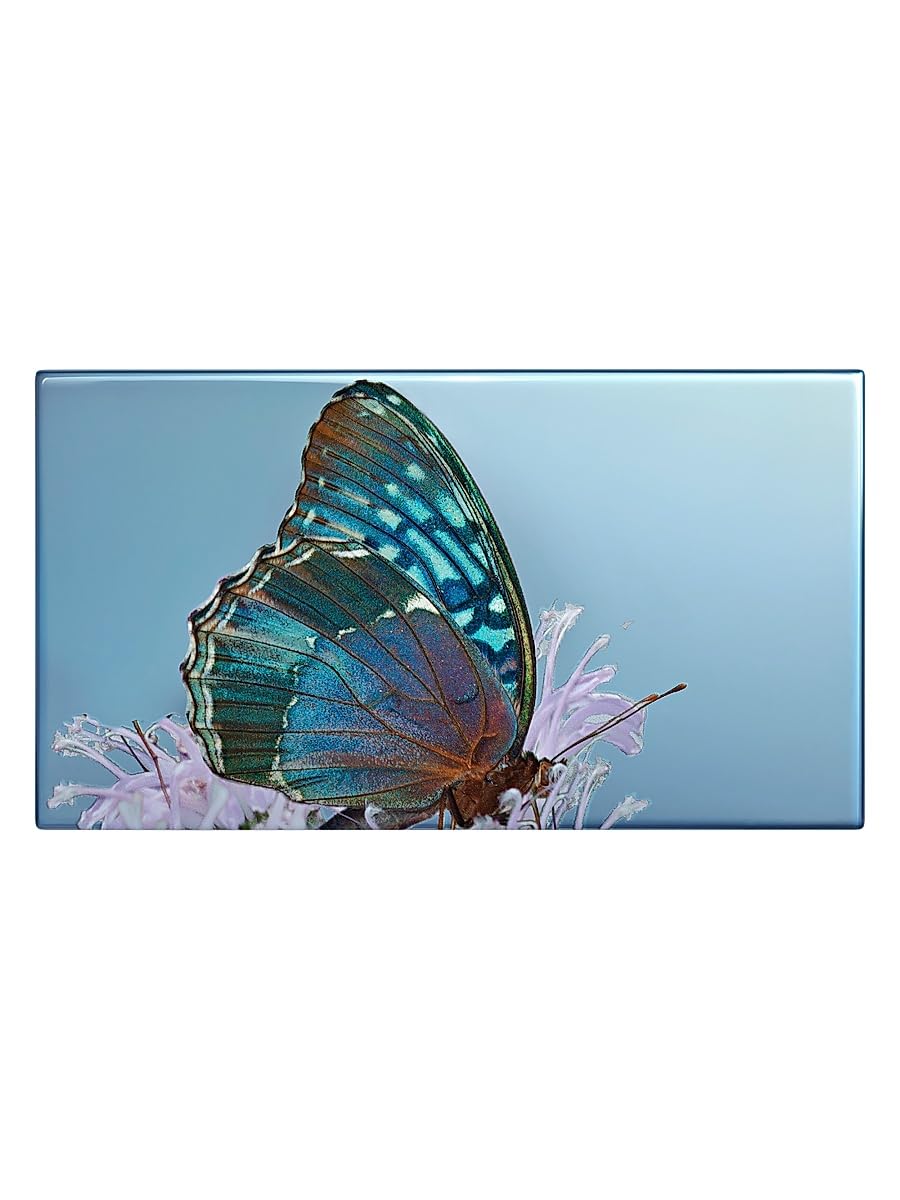 Chantecaille, Les Papillons Eye Trio, Diana