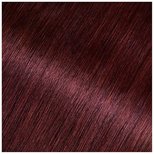 Garnier Olia Ammonia-Free Brilliant Color Oil-Rich Permanent Hair Color, 4.60 Dark Intense Auburn (Pack of 1) Red Hair Dye