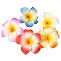 Hustar 10 Pcs 5CM Artificial Hawaiian Plumeria Flower Hair Clips Hair Accessories for Beach Fancy Dress