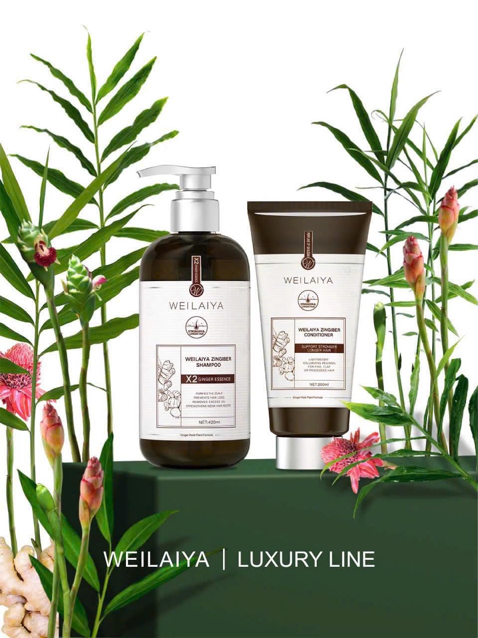 WEILAIYA LUXURY ZINGIBER SHAMPOO/CONDITIONER