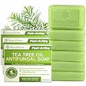 Roycederm Antifungal Bar Soap - Tea tree Oil Soap - Athlete’s Foot Treatment for Jock Itch & Ringworm - Medicated Antifungal Soap with Clotrimazole 1% Beauty & Personal Care Roycederm