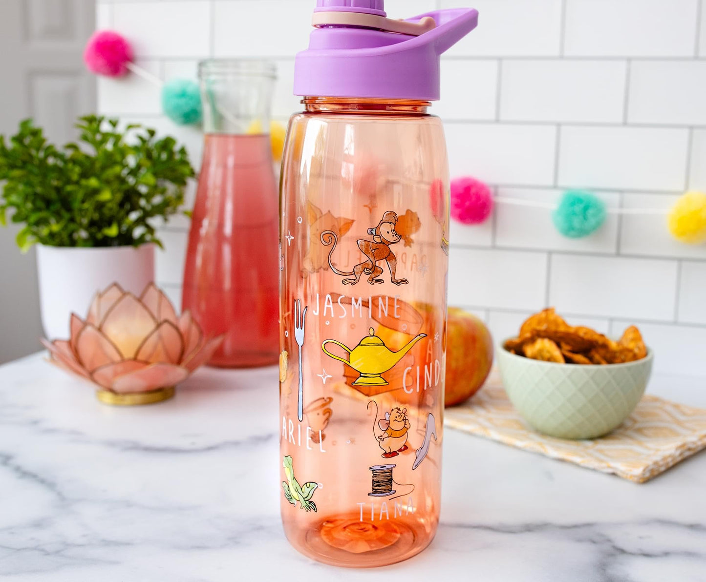 Silver Buffalo Disney Princess Icons Water Bottle With Screw-On Lid, 28 Ounces