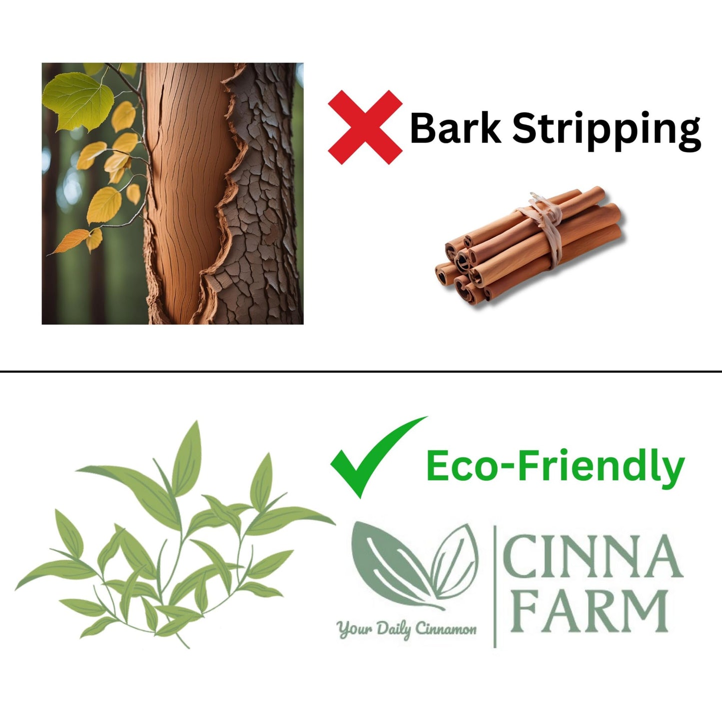 CinnaFarm Bodywash, from Cinnamon leaves extraction, nourishing and revitalizing, natural ingredients, vitamin B5, no artificial flavors, fulfates Beauty & Personal Care CinnaFarm