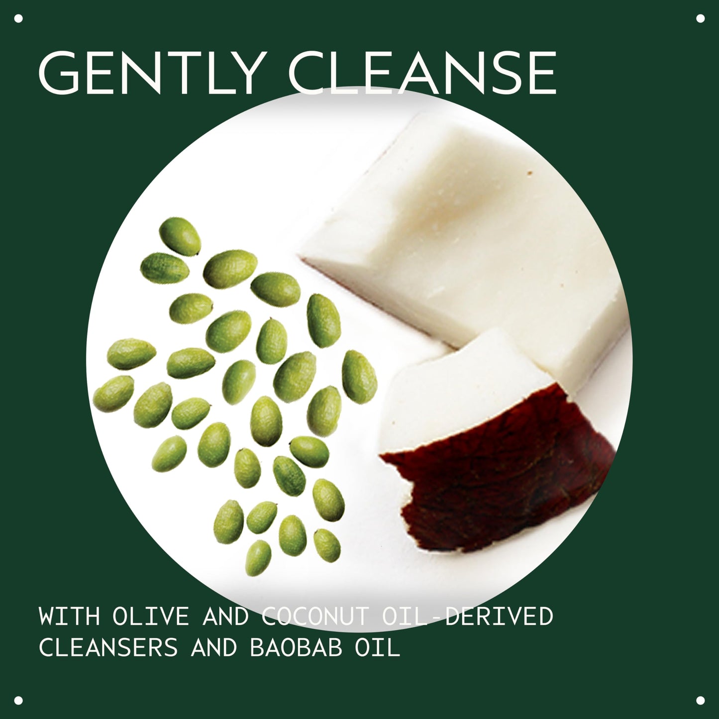 Aveda Botanical Kinetics All-Sensitive Cleaner | Gentle Facial Cleanser for Sensitive Skin | Fragrance Free | with Olive and Coconut Oil | 98%