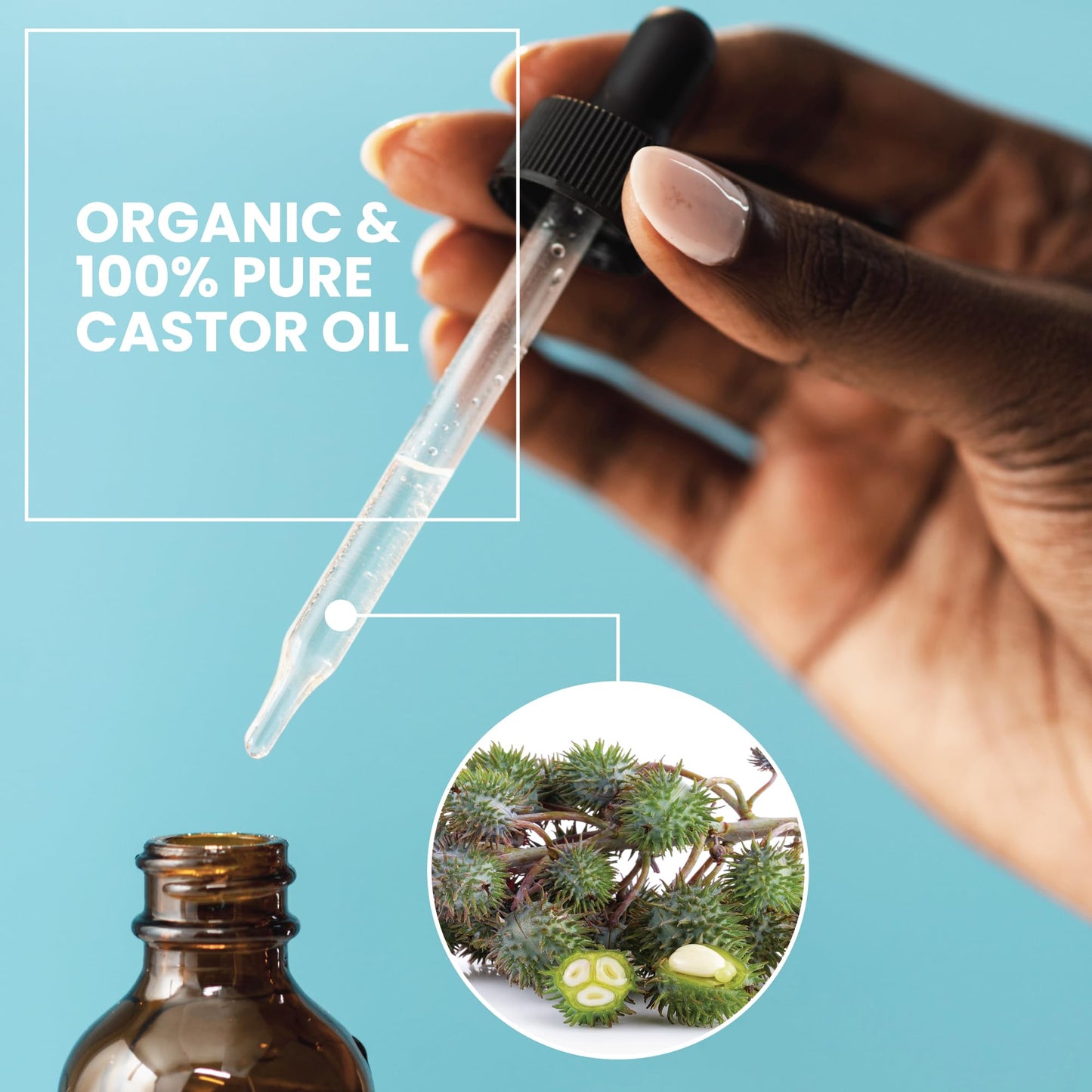 Eva Naturals 100% Pure Castor Oil - Cold Pressed for Eyelash, Eyebrow, Hair & Lash Growth, Thicker Brow & Face Serum Drops for Wrinkles, Hydrating