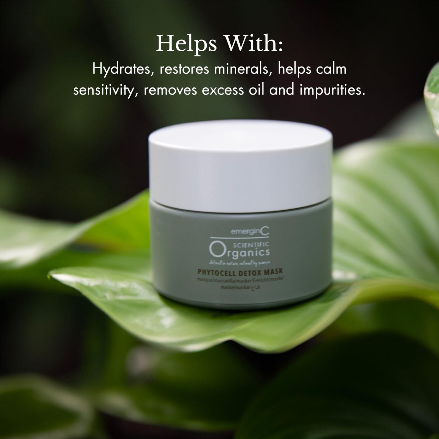 emergin C Scientific Organics Phytocell Detox Mask - Hydrating Facial Mask with French Green Clay, Seaweed + Plant Stem Cells - Draws Out Impurities +