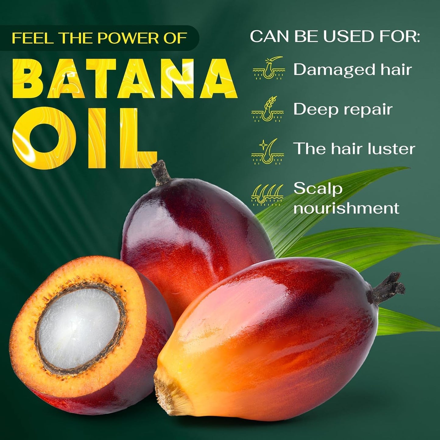 BRIGHTJUNGLE Raw Batana Oil for Hair Growth - Hair & Scalp Oil for Thickness & Shine - Men & Women - 100% Pure, Organic, Cold-Pressed 5.3oz (150g)